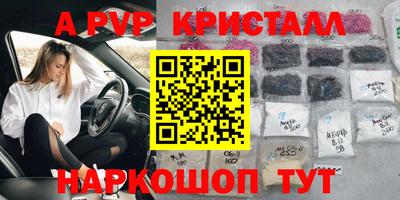 спиды Пугачёв