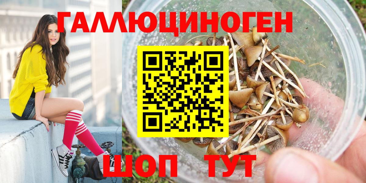 Галлюциногенные грибы Cubensis  Псилоцибиновые грибы Psilocybe  Вход с VPN  Сунжа 